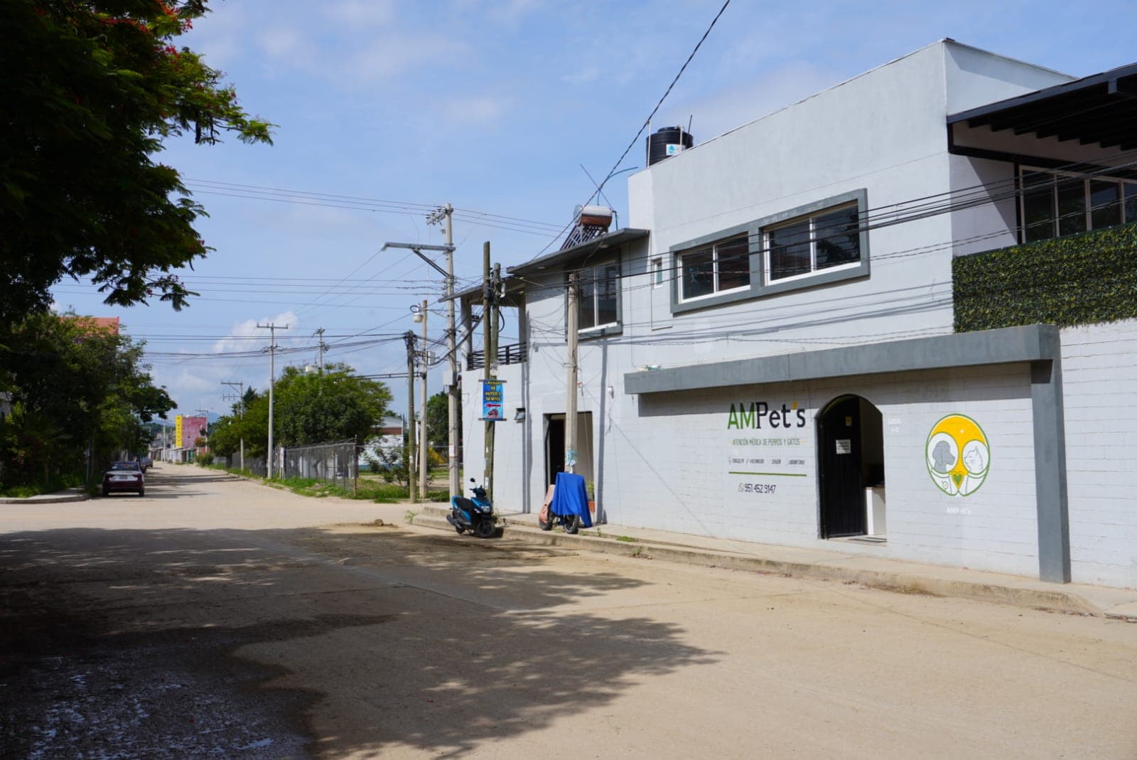 AMPet´s - Foto 1